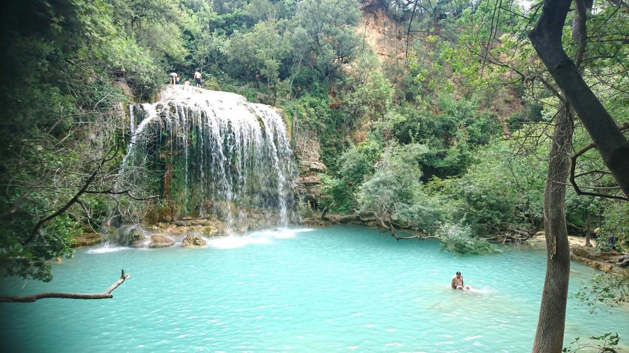 Flayosc La Villa Aux Oliviers מראה חיצוני תמונה